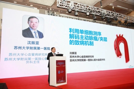 蘇州大學(xué)心血管病研究所所長、蘇州大學(xué)附屬第一醫(yī)院心臟大血管外科主任沈振亞教授作報告