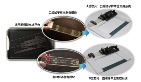 獨創(chuàng)的基于微流控毛細(xì)管電泳技術(shù)的模塊化集成芯片卡盒